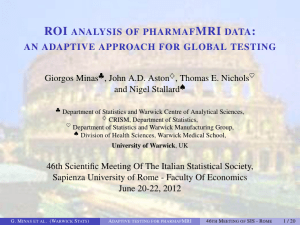 ROI MRI : ANALYSIS OF PHARMAF