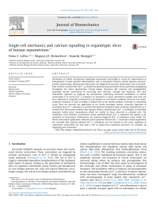 Single-cell mechanics and calcium signalling in organotypic slices of human myometrium ,