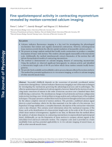 Fine spatiotemporal activity in contracting myometrium revealed by motion-corrected calcium imaging