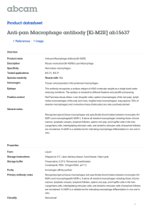 Anti-pan Macrophage antibody [Ki-M2R] ab15637 Product datasheet 1 References 1 Image