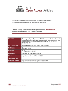 Induced dicentric chromosome formation promotes genomic rearrangements and tumorigenesis Please share