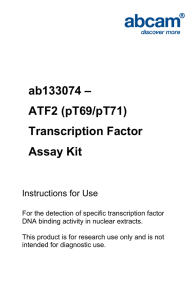 ab133074 – ATF2 (pT69/pT71) Transcription Factor Assay Kit