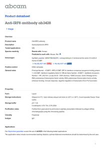 Anti-IRF8 antibody ab3428 Product datasheet 1 Image