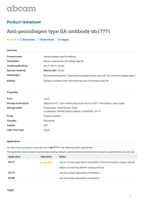 Anti-procollagen type IIA antibody ab17771 Product datasheet 2 Abreviews 3 Images
