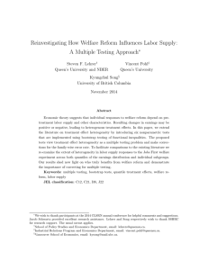 Reinvestigating How Welfare Reform Influences Labor Supply: A Multiple Testing Approach