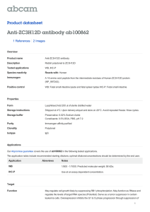 Anti-ZC3H12D antibody ab100862 Product datasheet 1 References 2 Images
