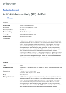 Anti-14-3-3 beta antibody [4E1] ab12341 Product datasheet 1 References Overview