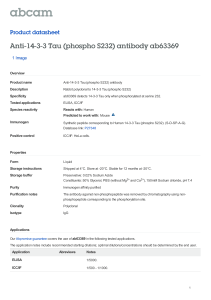 Anti-14-3-3 Tau (phospho S232) antibody ab63369 Product datasheet 1 Image Overview