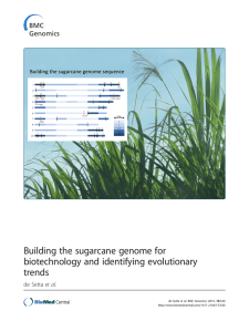 Building the sugarcane genome for biotechnology and identifying evolutionary trends