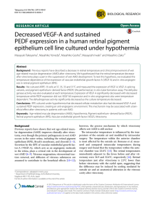 Decreased VEGF-A and sustained PEDF expression in a human retinal pigment