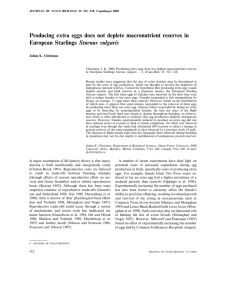 Producing extra eggs does not deplete macronutrient reserves in Sturnus ulgaris