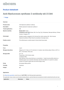 Anti-Hyaluronan synthase 2 antibody ab131364 Product datasheet 1 Image