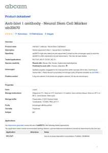 Anti-Islet 1 antibody - Neural Stem Cell Marker ab20670