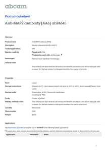 Anti-MAP2 antibody [AA6] ab24645 Product datasheet