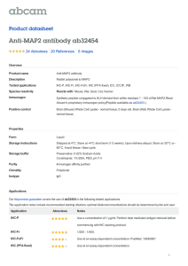 Anti-MAP2 antibody ab32454 Product datasheet 24 Abreviews 6 Images