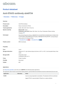 Anti-STAU2 antibody ab60724 Product datasheet 1 Abreviews 5 Images