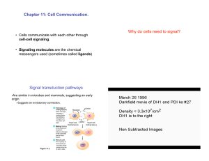 Chapter 11: Cell Communication. Why do cells need to signal?