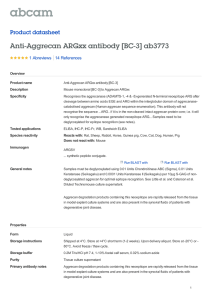 Anti-Aggrecan ARGxx antibody [BC-3] ab3773 Product datasheet 1 Abreviews Overview