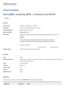 Anti-LIMK1 antibody [2E9] - C-terminal ab189169 Product datasheet 3 Images Overview