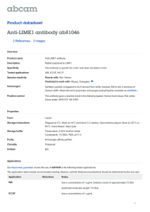 Anti-LIMK1 antibody ab81046 Product datasheet 2 References 3 Images