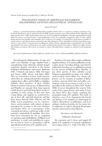 POLLINATION NEEDS OF ARROWLEAF BALSAMROOT, BALSAMORHIZA SAGITTATA James H. Cane