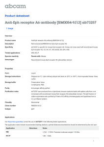 Anti-Eph receptor A6 antibody [RM0054-9J12] ab73257