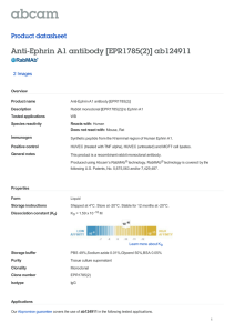 Anti-Ephrin A1 antibody [EPR1785(2)] ab124911 Product datasheet 2 Images