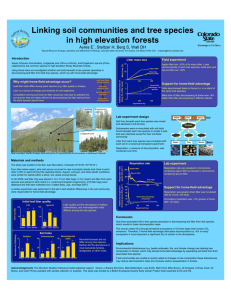 Linking soil communities and tree species in high elevation forests Ayres E