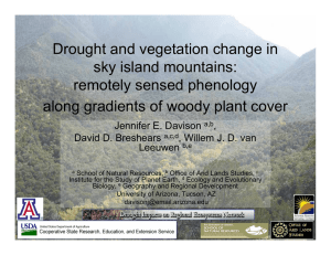 Drought and vegetation change in sky island mountains: remotely sensed phenology