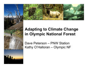 Adapting to Climate Change in Olympic National Forest