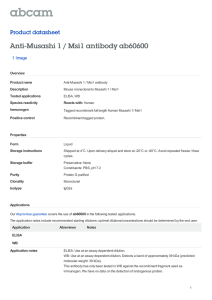 Anti-Musashi 1 / Msi1 antibody ab60600 Product datasheet 1 Image Overview