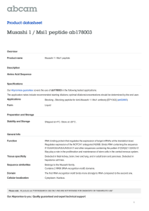 Musashi 1 / Msi1 peptide ab178003 Product datasheet Overview Product name