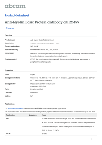 Anti-Myelin Basic Protein antibody ab123499 Product datasheet 2 Images Overview