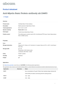 Anti-Myelin Basic Protein antibody ab124493 Product datasheet 2 Images Overview