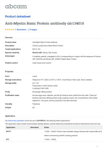 Anti-Myelin Basic Protein antibody ab134018 Product datasheet 1 Abreviews 2 Images