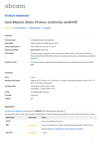 Anti-Myelin Basic Protein antibody ab40390 Product datasheet 12 Abreviews 6 Images