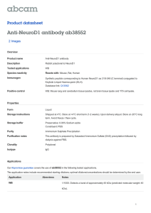 Anti-NeuroD1 antibody ab38552 Product datasheet 2 Images Overview