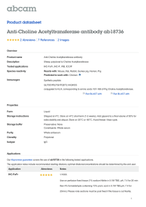 Anti-Choline Acetyltransferase antibody ab18736 Product datasheet 2 Abreviews 2 Images