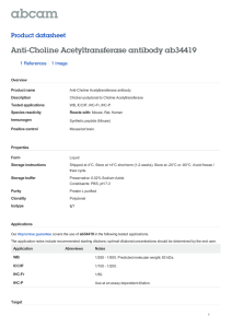 Anti-Choline Acetyltransferase antibody ab34419 Product datasheet 1 References 1 Image