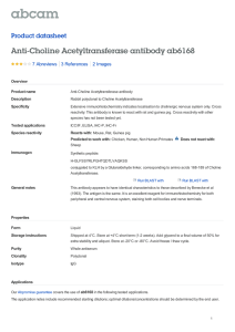 Anti-Choline Acetyltransferase antibody ab6168 Product datasheet 7 Abreviews 2 Images