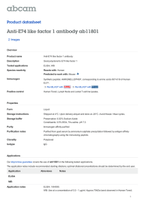Anti-E74 like factor 1 antibody ab11801 Product datasheet 2 Images