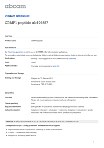 CRMP1 peptide ab196857 Product datasheet Overview Product name