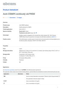 Anti-CRMP5 antibody ab79008 Product datasheet 1 Abreviews 3 Images