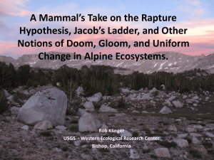 A Mammal’s Take on the Rapture Hypothesis, Jacob’s Ladder, and Other