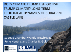 DOES CLIMATE TRUMP FISH OR FISH TRUMP CLIMATE? LONG-TERM CASTLE LAKE