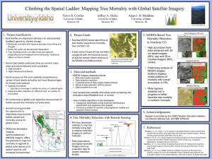 Climbing the Spatial Ladder: Mapping Tree Mortality with Global Satellite...