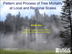 Pattern and Process of Tree Mortality at Local and Regional Scales