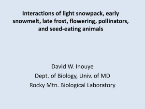 Interactions of light snowpack, early snowmelt, late frost, flowering, pollinators,