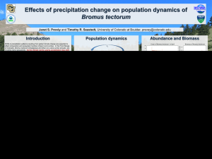 Effects of precipitation change on population dynamics of Bromus tectorum Introduction Population dynamics