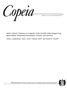 Water Velocity Tolerance in Tadpoles of the Foothill Yellow-legged Frog